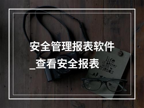 安全管理报表软件_查看安全报表