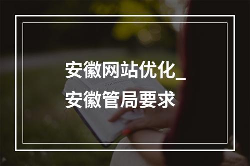 安徽网站优化_安徽管局要求
