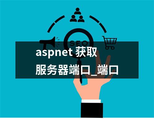 aspnet 获取服务器端口_端口
