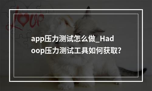 app压力测试怎么做_Hadoop压力测试工具如何获取?