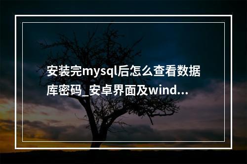 安装完mysql后怎么查看数据库密码_安卓界面及windows相关