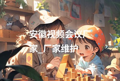安徽视频会议厂家_厂家维护