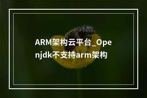 ARM架构云平台_Openjdk不支持arm架构