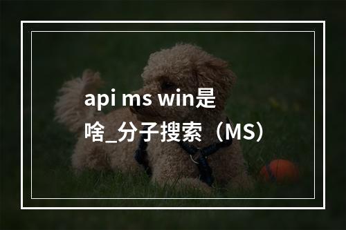 api ms win是啥_分子搜索(MS)