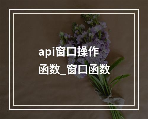 api窗口操作函数_窗口函数