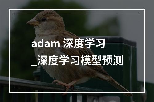 adam 深度学习_深度学习模型预测