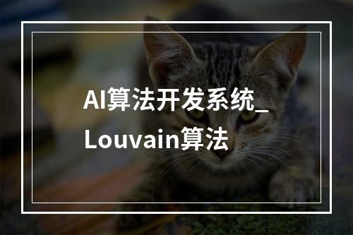 AI算法开发系统_Louvain算法