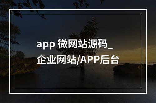 app 微网站源码_企业网站/APP后台