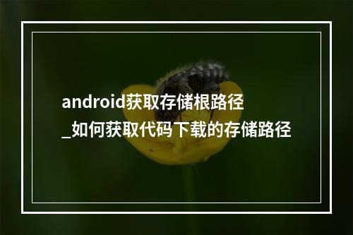 android获取存储根路径_如何获取代码下载的存储路径