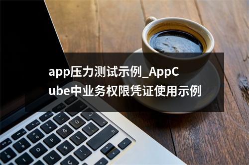 app压力测试示例_AppCube中业务权限凭证使用示例