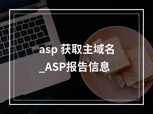 asp 获取主域名_ASP报告信息