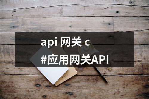 api 网关 c#应用网关API