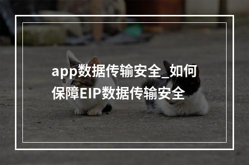 app数据传输安全_如何保障EIP数据传输安全