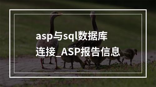 asp与sql数据库连接_ASP报告信息