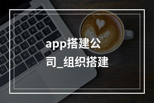 app搭建公司_组织搭建