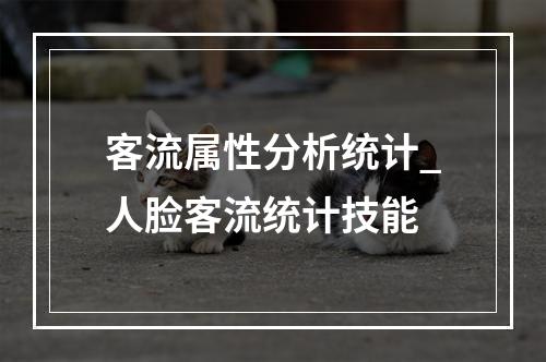 客流属性分析统计_人脸客流统计技能