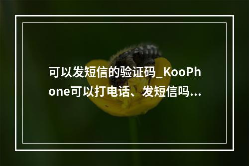 可以发短信的验证码_KooPhone可以打电话、发短信吗?