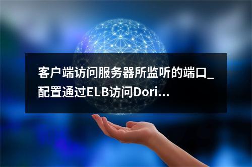 客户端访问服务器所监听的端口_配置通过ELB访问Doris集群