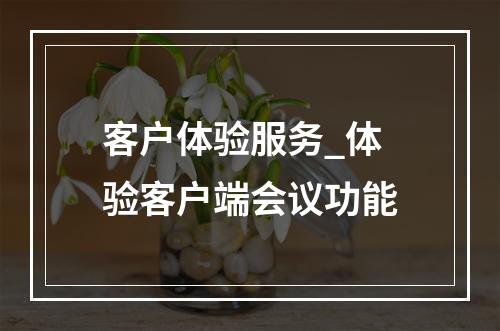 客户体验服务_体验客户端会议功能