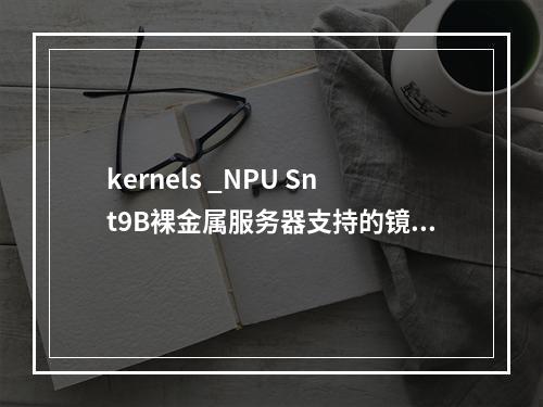 kernels _NPU Snt9B裸金属服务器支持的镜像详情