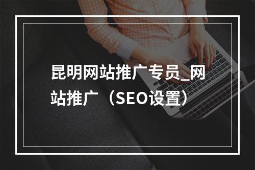 昆明网站推广专员_网站推广(SEO设置)