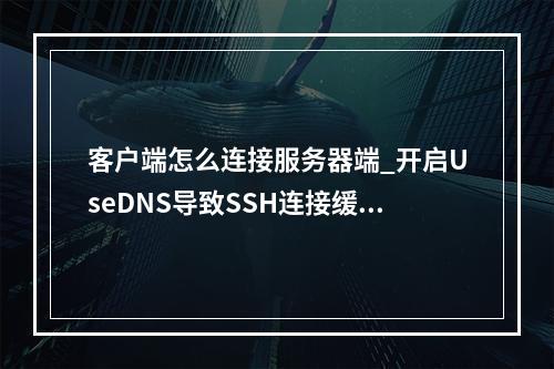 客户端怎么连接服务器端_开启UseDNS导致SSH连接缓慢怎么办?