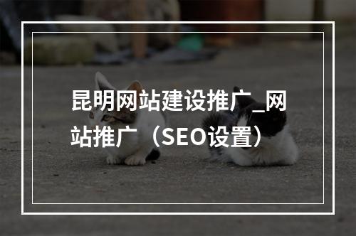 昆明网站建设推广_网站推广(SEO设置)