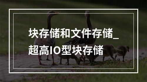 块存储和文件存储_超高IO型块存储