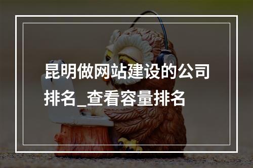 昆明做网站建设的公司排名_查看容量排名