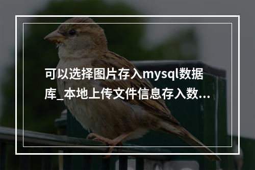 可以选择图片存入mysql数据库_本地上传文件信息存入数据库