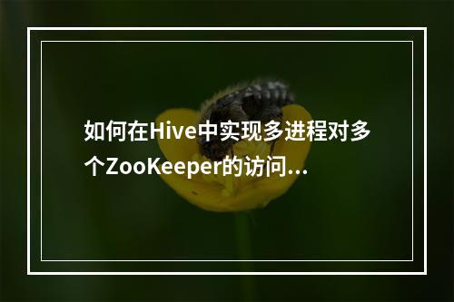 如何在Hive中实现多进程对多个ZooKeeper的访问?