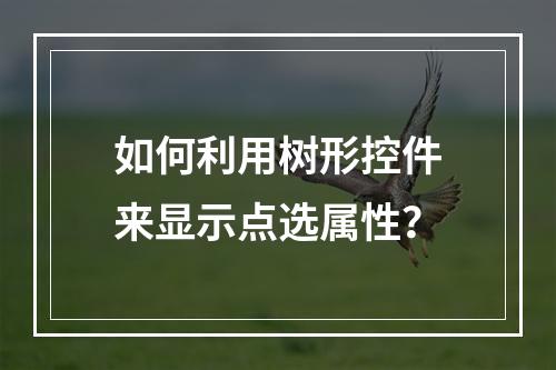 如何利用树形控件来显示点选属性?