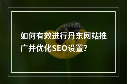 如何有效进行丹东网站推广并优化SEO设置?