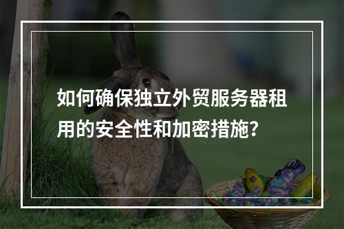 如何确保独立外贸服务器租用的安全性和加密措施?
