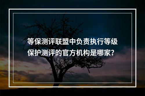 等保测评联盟中负责执行等级保护测评的官方机构是哪家?