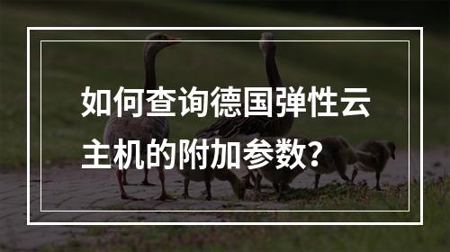如何查询德国弹性云主机的附加参数?