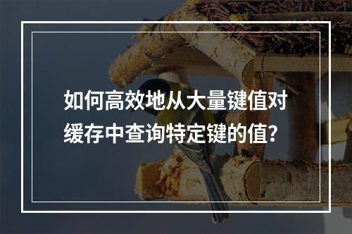 如何高效地从大量键值对缓存中查询特定键的值?