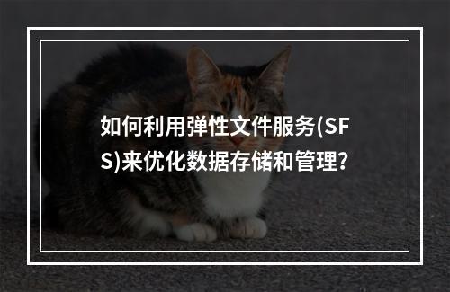 如何利用弹性文件服务(SFS)来优化数据存储和管理?