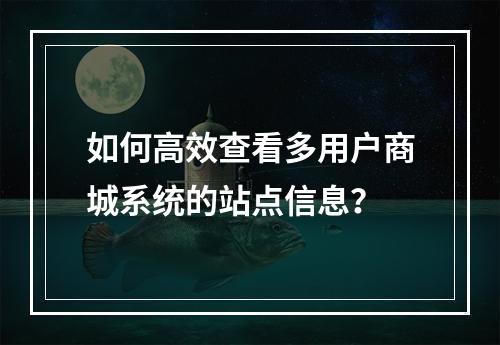 如何高效查看多用户商城系统的站点信息?