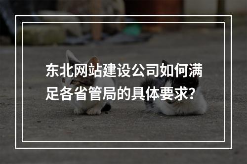 东北网站建设公司如何满足各省管局的具体要求?