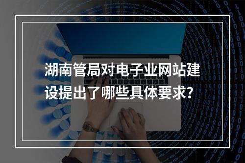 湖南管局对电子业网站建设提出了哪些具体要求?