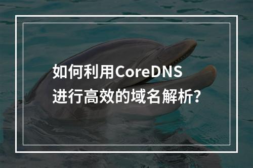 如何利用CoreDNS进行高效的域名解析?