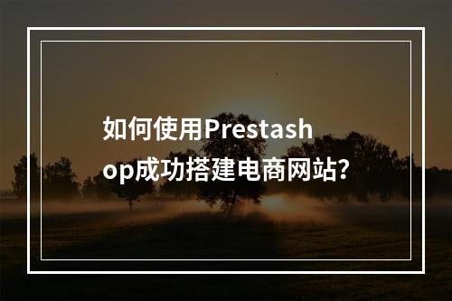 如何使用Prestashop成功搭建电商网站?