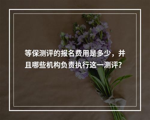 等保测评的报名费用是多少,并且哪些机构负责执行这一测评?