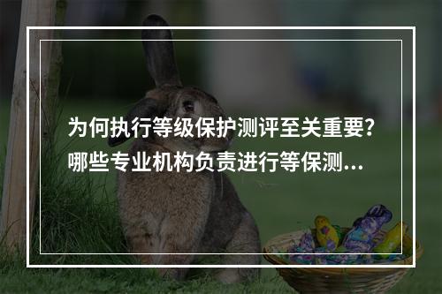 为何执行等级保护测评至关重要?哪些专业机构负责进行等保测评?
