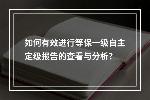 如何有效进行等保一级自主定级报告的查看与分析?