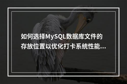 如何选择MySQL数据库文件的存放位置以优化打卡系统性能?