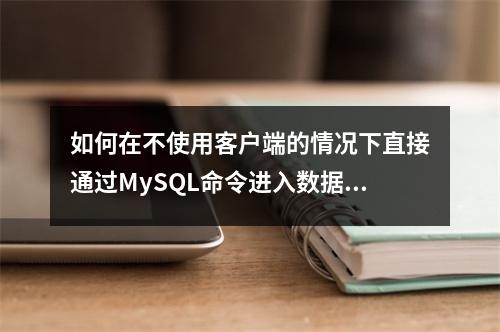 如何在不使用客户端的情况下直接通过MySQL命令进入数据库容器执行指令?