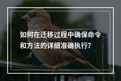 如何在迁移过程中确保命令和方法的详细准确执行?