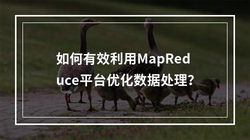 如何有效利用MapReduce平台优化数据处理?